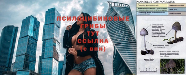 spice Лихославль